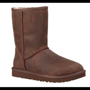Ugg brown classic short leather